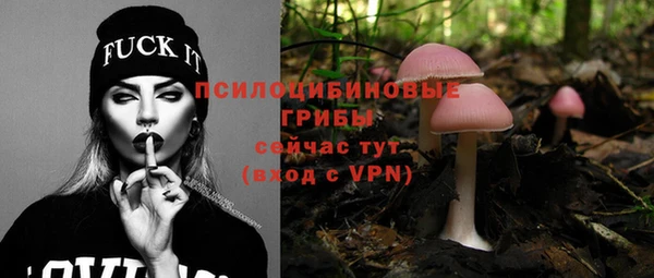 mix Осташков