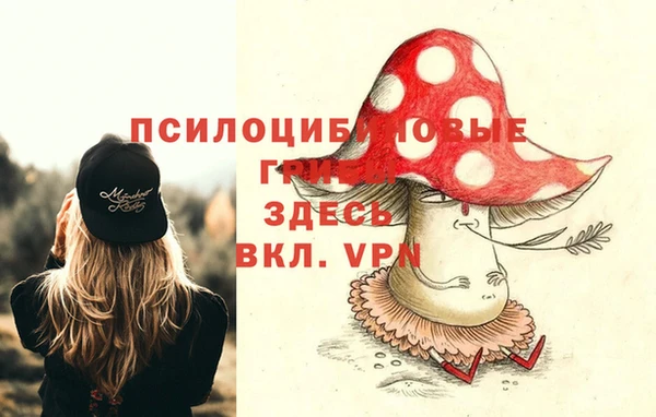 spice Остров