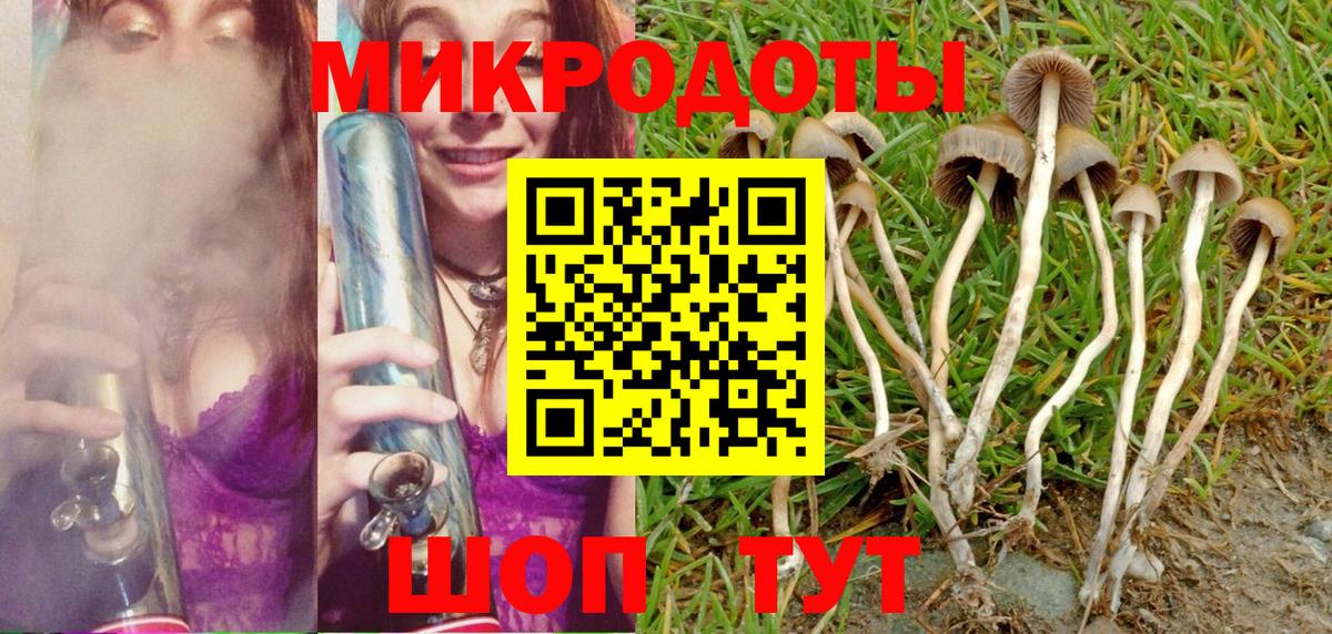 Кингисепп  как найти наркотики  Вход с VPN  Псилоцибиновые грибы Magic Shrooms 