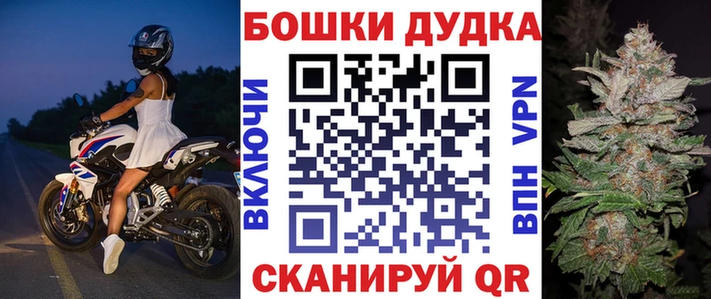 Конопля индика  OMG ТОР  Кингисепп 