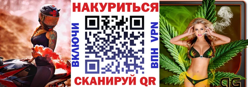 Конопля марихуана Кингисепп